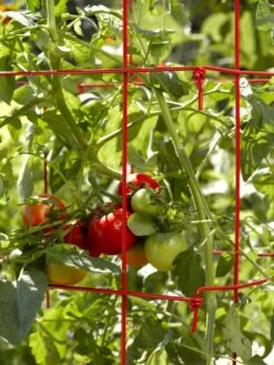 Tomato Cage, Single -Garden Care Shop 34182 592 1