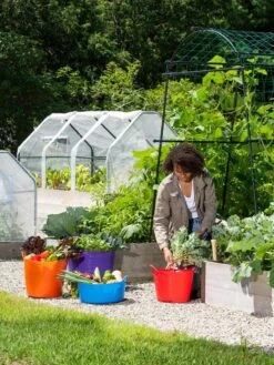 3-Season Plant Protection Tent, 3' X 6' 21 3-Season Plant Protection Tent, 3' X 6' -Garden Care Shop 35 592 0181 1