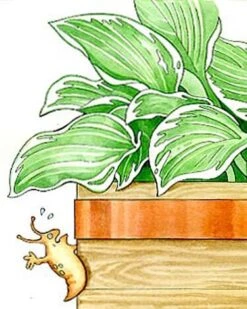 Copper Slug Tape -Garden Care Shop 38 994 b