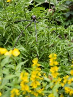 Jardin Bird Cage Support, 26" 8 Jardin Bird Cage Support, 26" -Garden Care Shop 39 520 0077 tif