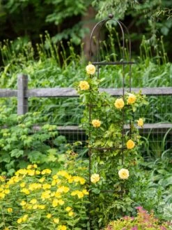 Jardin Round Obelisk, 7' 9 Jardin Round Obelisk, 7' -Garden Care Shop 39 530 1668 tif