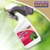 Bonide® Japanese Beetle Killer -Garden Care Shop 3 4 crop 8586927 01V 3 4
