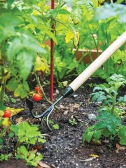 Gardener's Lifetime Long-Handled Double Tool 9 Gardener's Lifetime Long-Handled Double Tool -Garden Care Shop 3 4 crop 8592107 2460 tif