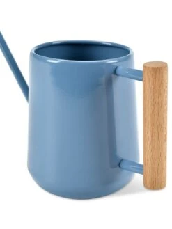 Pinpoint Indoor Watering Can 18 Pinpoint Indoor Watering Can -Garden Care Shop 3 4 crop 8612963 04V tif