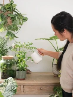 Pinpoint Indoor Watering Can 15 Pinpoint Indoor Watering Can -Garden Care Shop 3 4 crop 8612963 3774