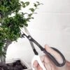 Japanese Pruning Scisssors 2 Japanese Pruning Scisssors -Garden Care Shop 3 4 crop 8612968 02V japanese pruning scisssors