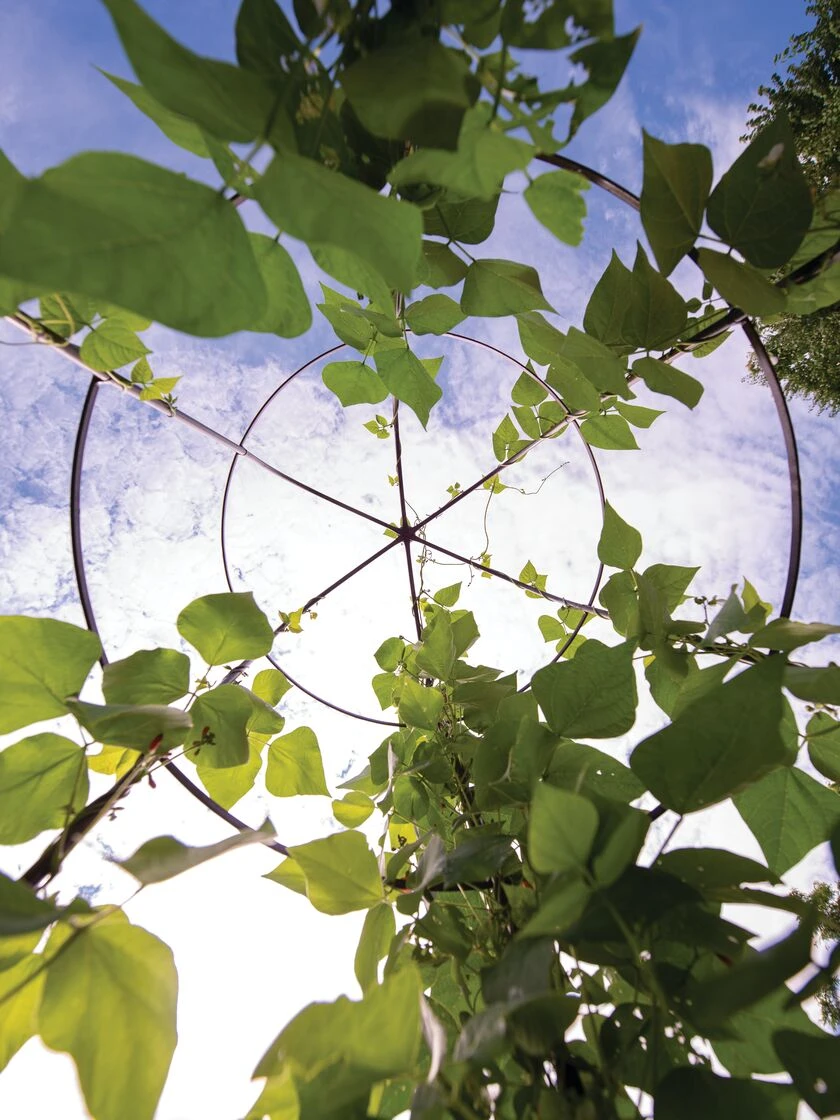 Jardin Tower 7 Jardin Tower - Image 5