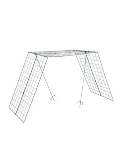 Over The Top Cucumber And Squash Trellis 13 Over The Top Cucumber And Squash Trellis -Garden Care Shop 3 4 crop 8613058 4890