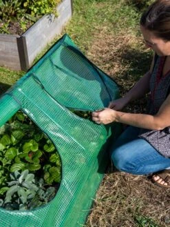 Multi Cloche -Garden Care Shop 3 4 crop 8613213 0245