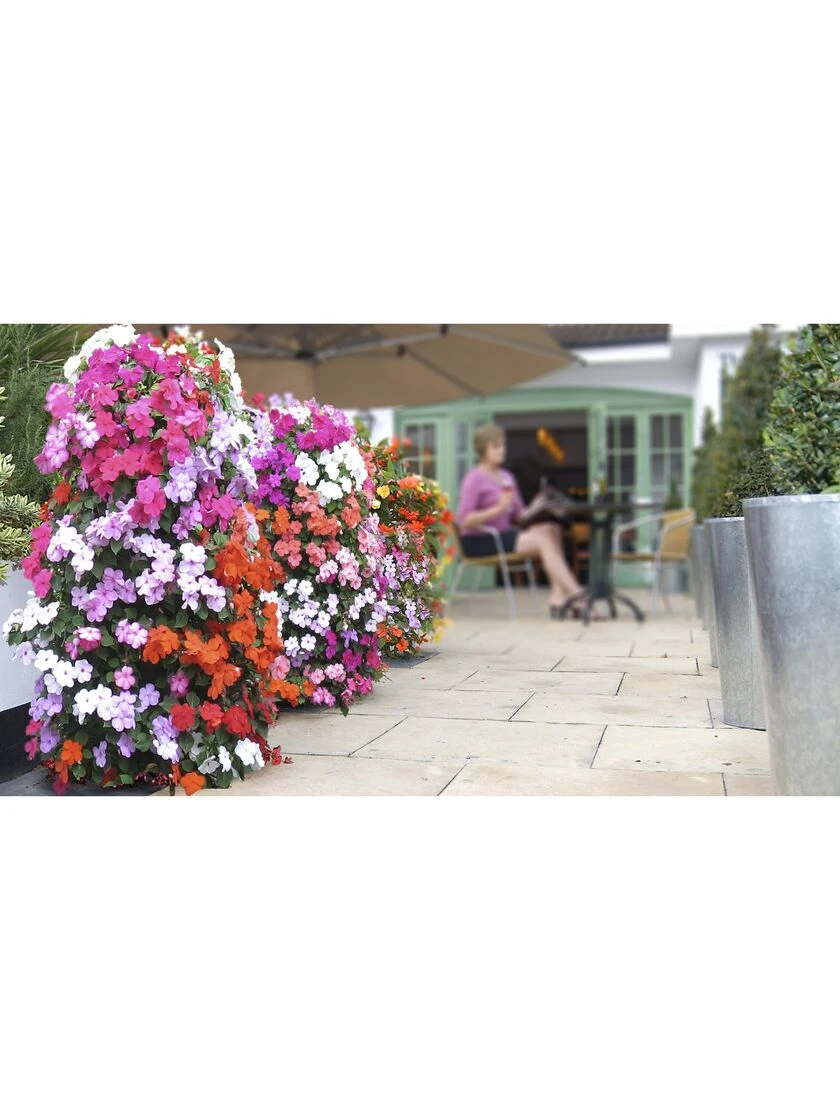 Flower Tower 4 Flower Tower - Image 2