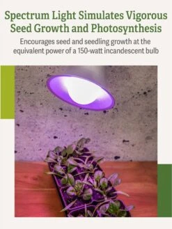 Miracle LED® Grow Light Bulb, Red And Blue -Garden Care Shop 3 4 crop Miracle Bulb RB 3