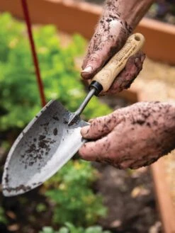 Gardener's Lifetime Trowel 13 Gardener's Lifetime Trowel -Garden Care Shop 8586972 3242 tif