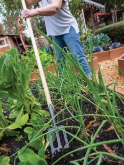 Garden Care Shop -Garden Care Shop 8586973 2385 tif