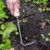 Gardener's Lifetime Cape Cod Weeder, Right-Handed 1 Gardener's Lifetime Cape Cod Weeder, Right-Handed -Garden Care Shop 8586974 2361 tif
