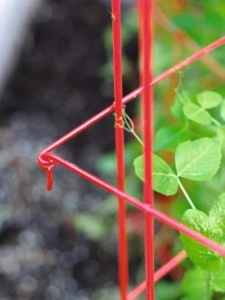 Tall Expandable Pea Trellis -Garden Care Shop 8587061 010 tif