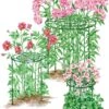 Grow Through Supports, Set Of 3 -Garden Care Shop 8587111RS 001E 1