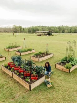 Deep Root Raised Beds, 14" Deep 4' Wide -Garden Care Shop 8587813 505 tif