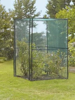 Crop Cage, 4' X 4' -Garden Care Shop 8587832 149 tif