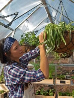 Canopia® By Palram Balance Greenhouse, 8' X 12' -Garden Care Shop 8588023 07V jpg