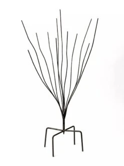 Bottle Bush 7 Bottle Bush -Garden Care Shop 8588047 0697