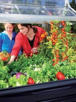 Canopia® By Palram Plant Inn™ Raised Bed Greenhouse, 4' X 4' 29 Canopia® By Palram Plant Inn™ Raised Bed Greenhouse, 4' X 4' -Garden Care Shop 8588308 03V tif