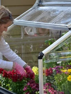 Canopia® By Palram Plant Inn™ Raised Bed Greenhouse, 4' X 4' 27 Canopia® By Palram Plant Inn™ Raised Bed Greenhouse, 4' X 4' -Garden Care Shop 8588308 04V tif