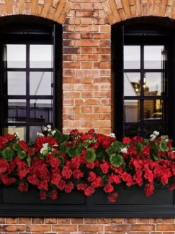 Fairfield Self-Watering Window Box, 5’ -Garden Care Shop 8588938 102V tif