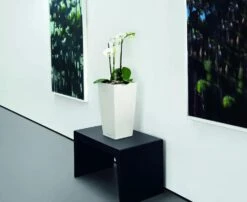 Lechuza® Cubico Color Tall Self-Watering Planters 10 Lechuza® Cubico Color Tall Self-Watering Planters -Garden Care Shop 8589485 03V tif