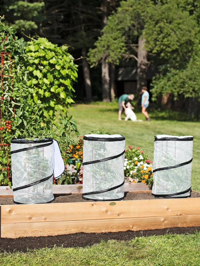 Pop-Up Tomato Accelerator 7 Pop-Up Tomato Accelerator - Image 5