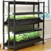 2-Tier SunLite® Garden 2 2-Tier SunLite® Garden -Garden Care Shop 8590049 2489 grow lights with two shelves large tif