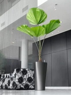 Lechuza® Delta Premium Self-Watering Planters 13 Lechuza® Delta Premium Self-Watering Planters -Garden Care Shop 8590299 02V tif