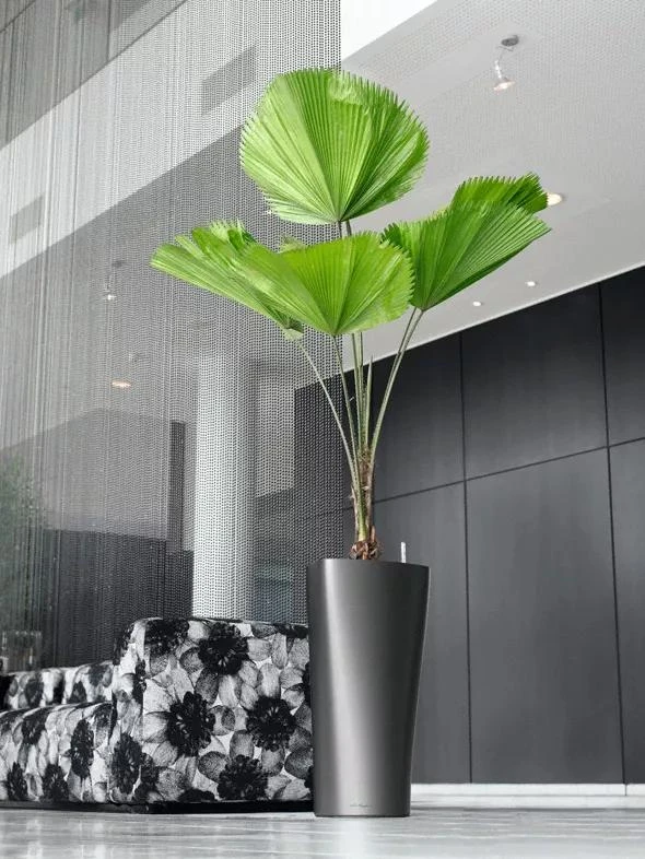 Lechuza® Delta Premium Self-Watering Planters 8 Lechuza® Delta Premium Self-Watering Planters - Image 6