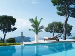 Lechuza® Delta Premium Self-Watering Planters 12 Lechuza® Delta Premium Self-Watering Planters -Garden Care Shop 8590299 04V tif