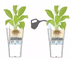 Lechuza® Delta Premium Self-Watering Planters 11 Lechuza® Delta Premium Self-Watering Planters -Garden Care Shop 8590299 07V tif