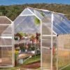 Canopia® By Palram Essence™ Greenhouse, 8' X 12' -Garden Care Shop 8591356 15V jpg