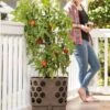Gardener's Revolution® Tomato Planter -Garden Care Shop 8592159 406 001E tif
