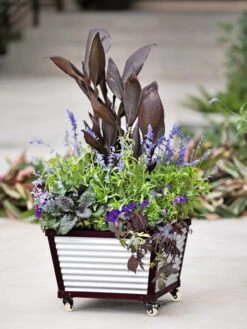 Galvanized Self-Watering Planters -Garden Care Shop 8592176 5060 tif