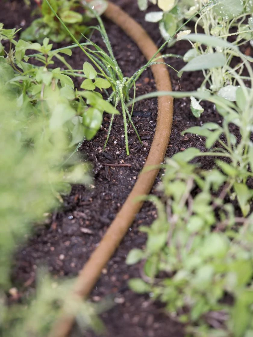 Premium 1/2" Soaker Hose 6 Premium 1/2" Soaker Hose - Image 4