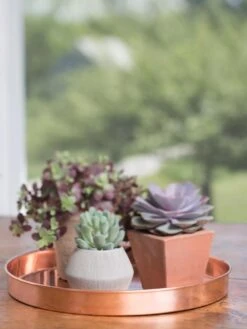 Large Round Copper Plant Tray, 14" -Garden Care Shop 8593531 4518 tif