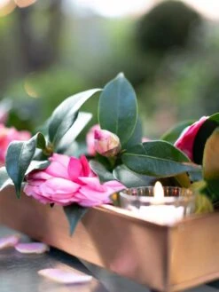 Rectangular Copper Plant Tray, 18"x4" -Garden Care Shop 8593532 02IN tif