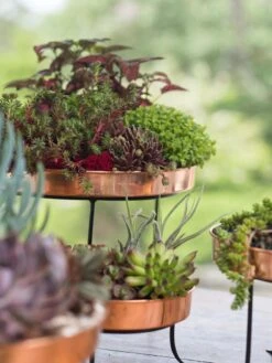 Small Round Copper Plant Tray, 10" -Garden Care Shop 8593564 4399 tif