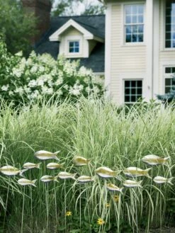 Fish Out Of Water Garden Stakes, Set Of 5