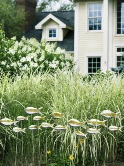 Fish Out Of Water Garden Stakes, Set Of 5 -Garden Care Shop 8593672 9124 tif