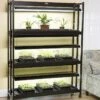 High Intensity 3-Tier SunLite® Garden -Garden Care Shop 8593944 1773 3 tier high intensity grow lights tif
