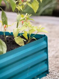 Demeter Corrugated Metal Raised Bed, 34" X 68" -Garden Care Shop 8594183 470 tif