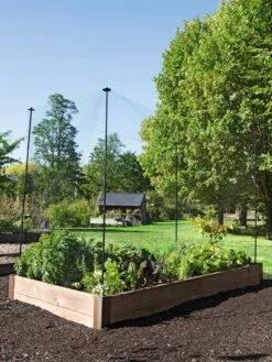 Protection Stakes For Netting, Set Of 4 10 Protection Stakes For Netting, Set Of 4 -Garden Care Shop 8594434 0015 tif