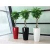 Lechuza® Rondo Self-Watering Planters 2 Lechuza® Rondo Self-Watering Planters -Garden Care Shop 8594586 01V tif