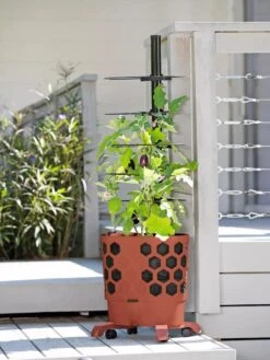 Gardener's Revolution® Tomato Planter -Garden Care Shop 8594743 2618 tif
