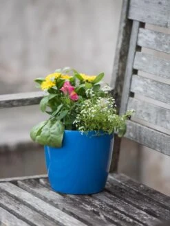 Viva Round Self-Watering Planter, 7" Diameter 9 Viva Round Self-Watering Planter, 7" Diameter -Garden Care Shop 8595222 1143 tif