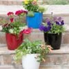 Viva Round Self-Watering Planter, 7" Diameter 2 Viva Round Self-Watering Planter, 7" Diameter -Garden Care Shop 8595222 5302 tif
